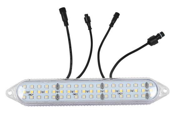 24V DMX512 RGBW Led Pixel Module Lights για διασκέδαση οδηγήσεων αδιάβροχο IP67